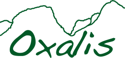 Oxalis