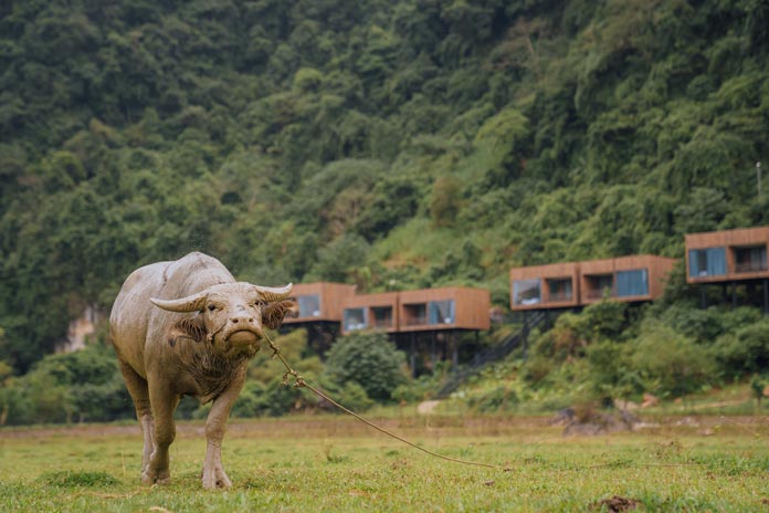 From the green field look back to Tu Lan lodge