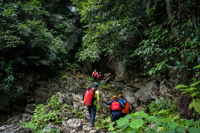 Steep uphill sections leading into the jungle.