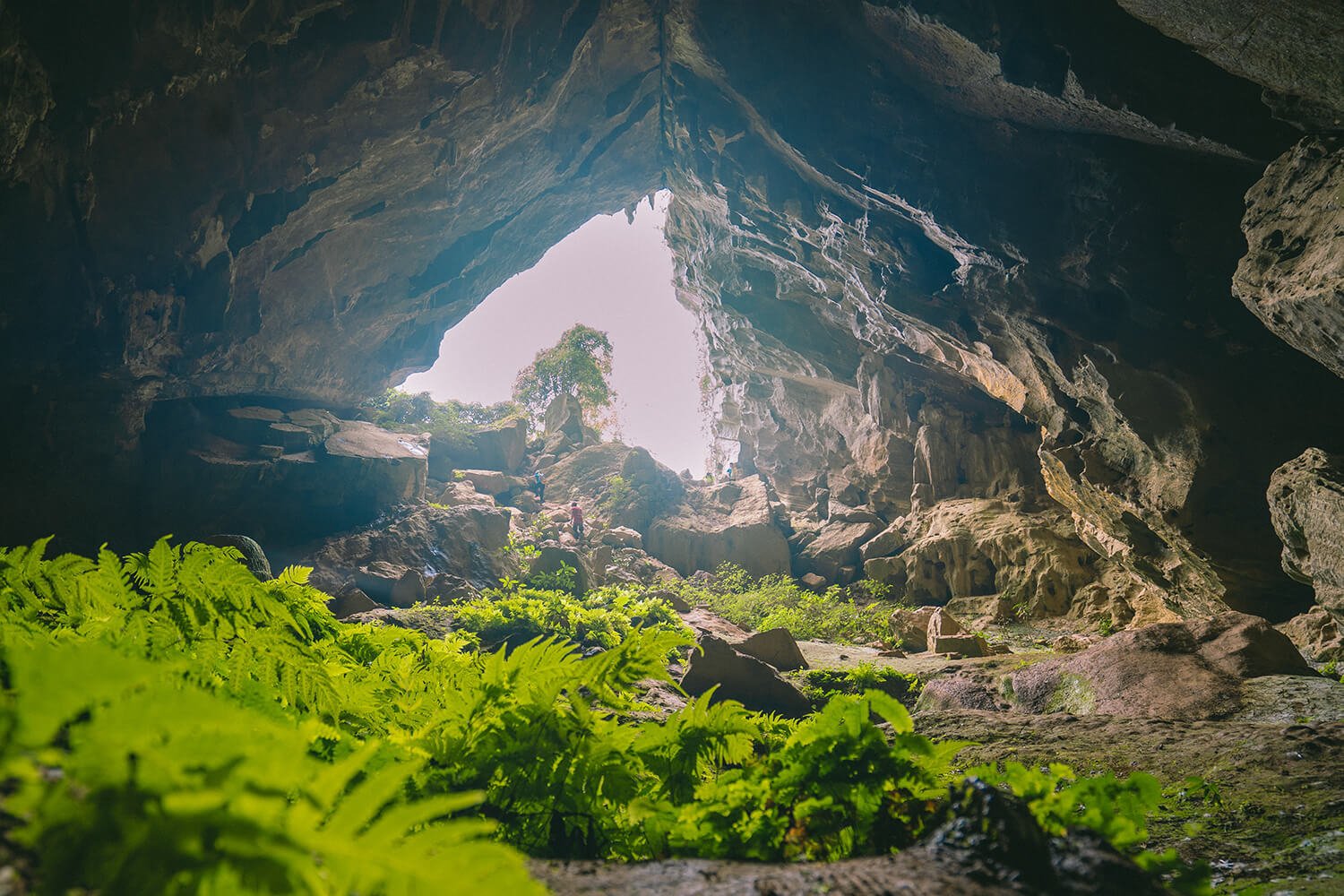 The overview of the heart-shaped Rat Cave entrance.