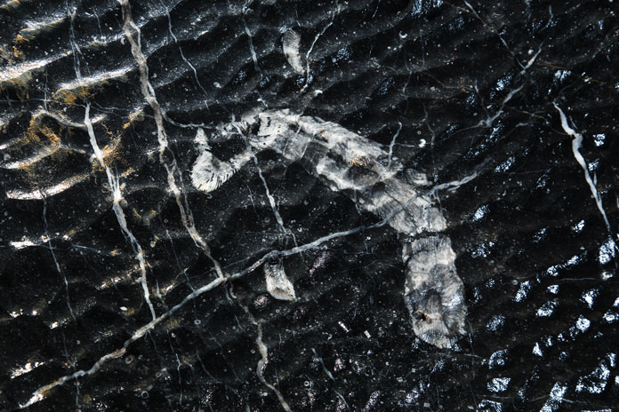 The Fossil Passage inside Son Doong Cave