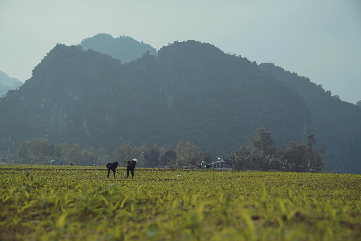 Oxalis Adventure utilizes local food sources from cooperatives