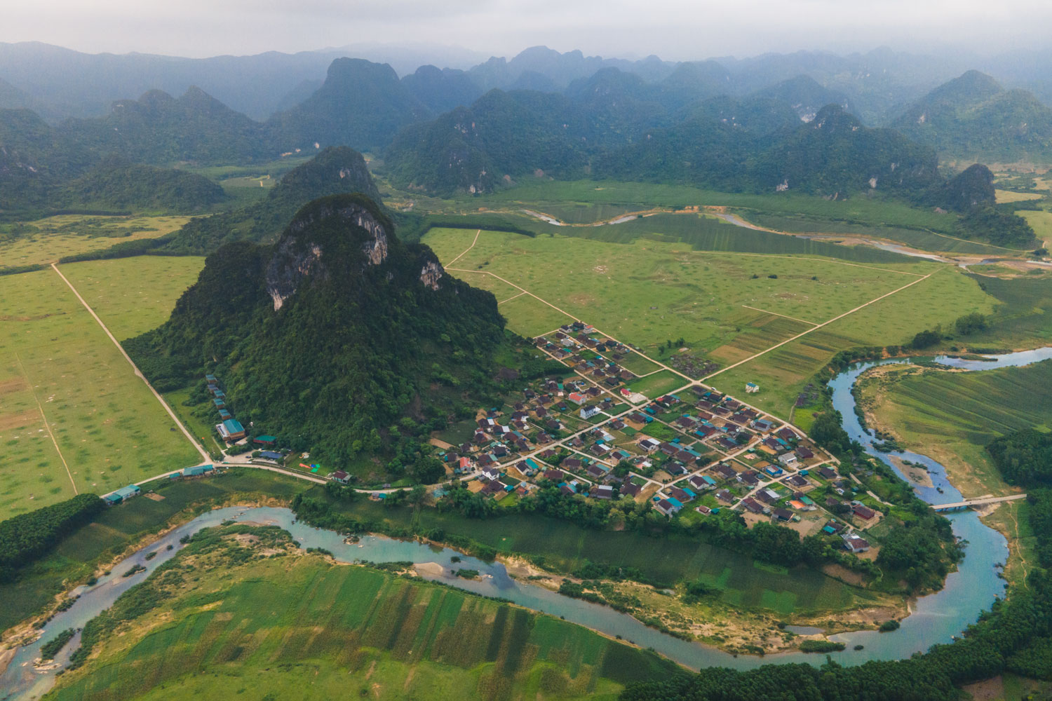 Oxalis's direction and commitment to achieving Net Zero