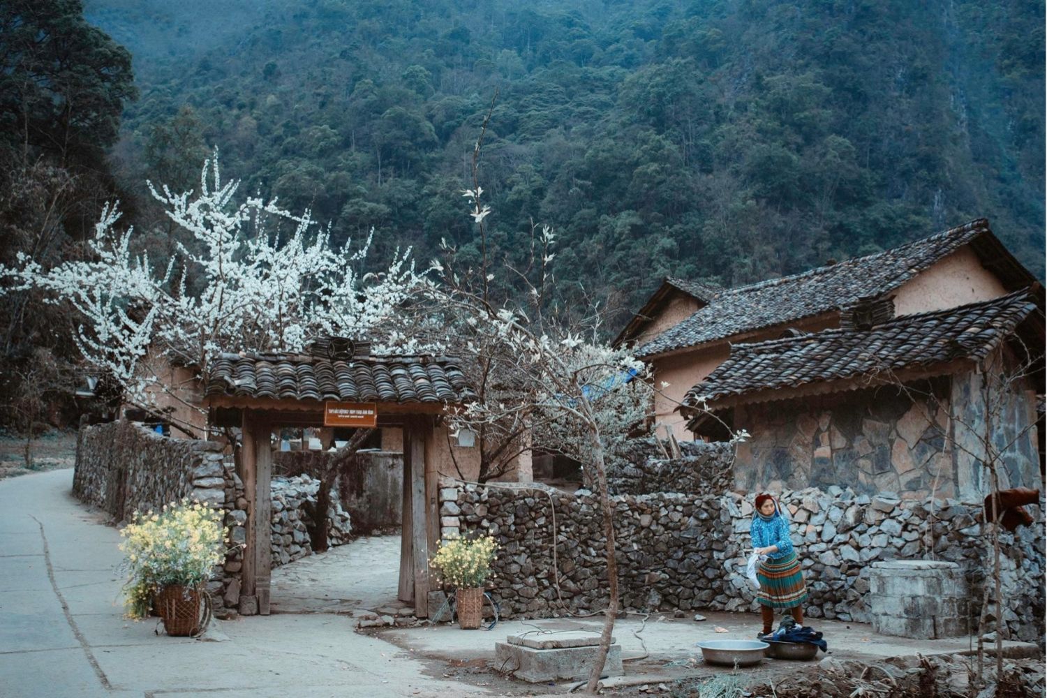 Sung La Valley, Ha Giang: A charming realm of the highlands in The Story of Pao